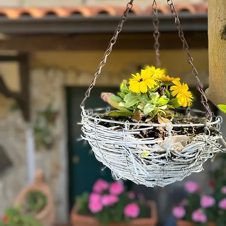 Appartement Taverna Anto